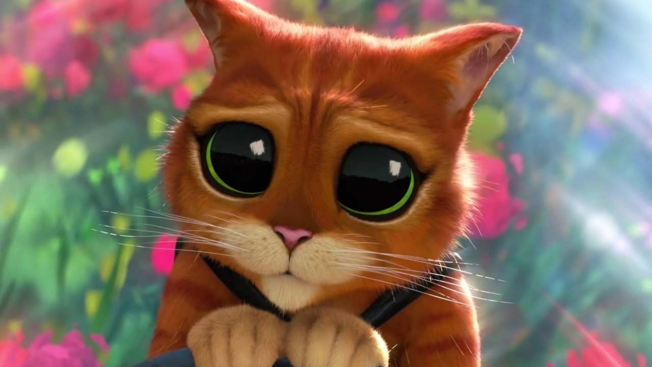 'Puss in boots: The Last Wish' krijgt wel hele bizarre promovideo