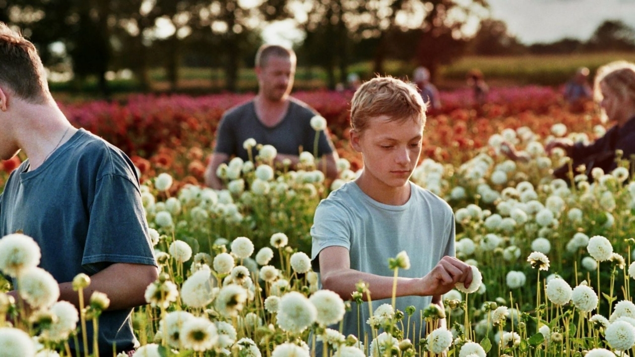 Belgische topfilm 'Close' blijft de prijzen aaneenrijgen