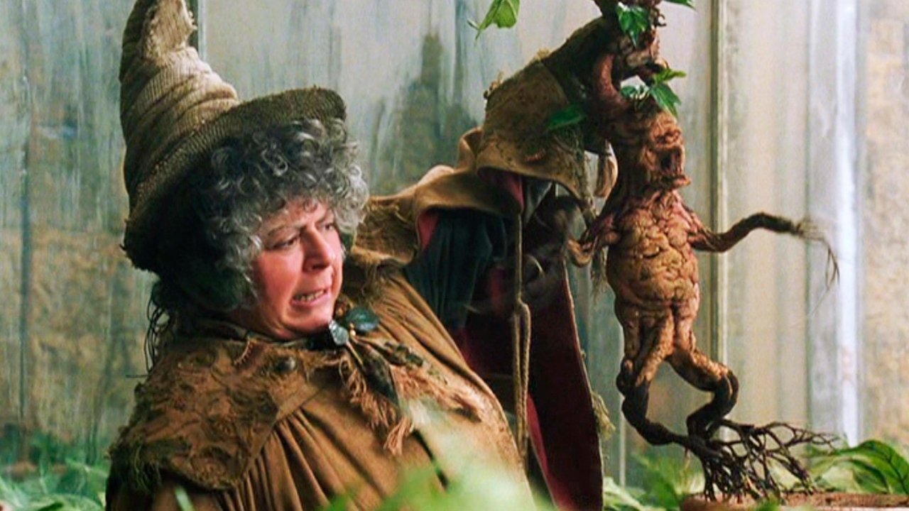 'Harry Potter'-actrice Miriam Margolyes vindt haar bekendheid maar vreemd
