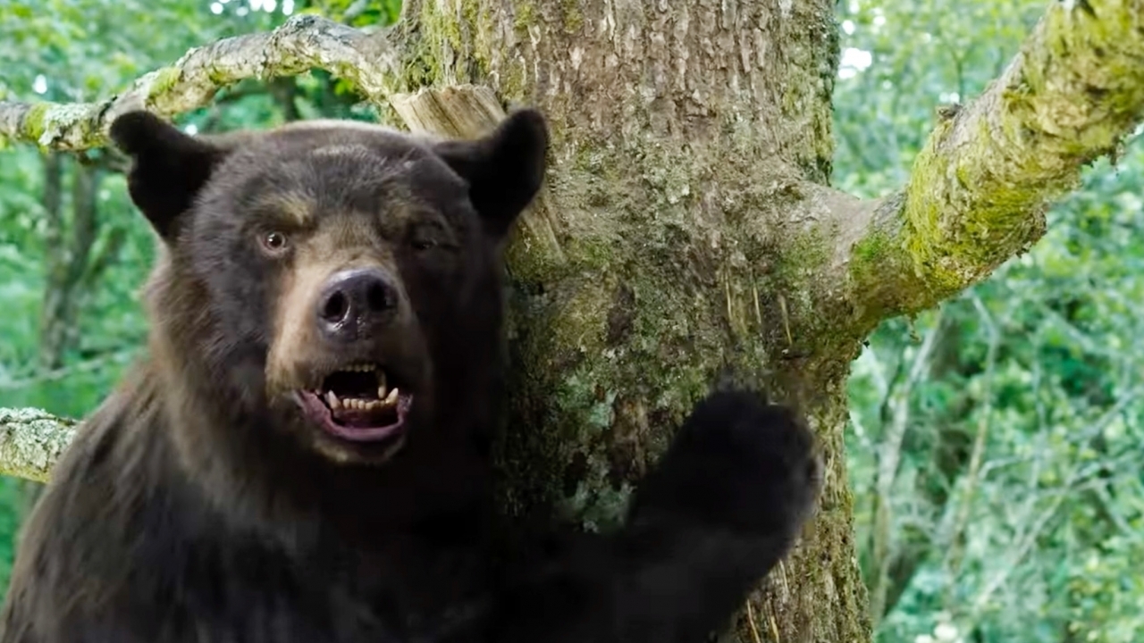Deze idiote beelden uit 'Cocaine Bear' moet je gewoon even zien