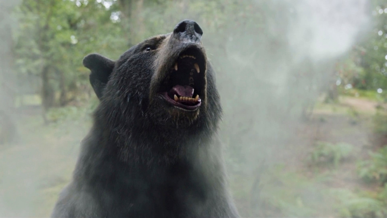 Eerste recensies 'Cocaine Bear': met of zonder snuif kijken?