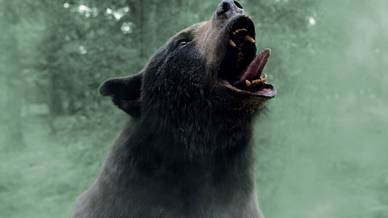 De lugubere inspiratie achter 'Cocaine Bear'