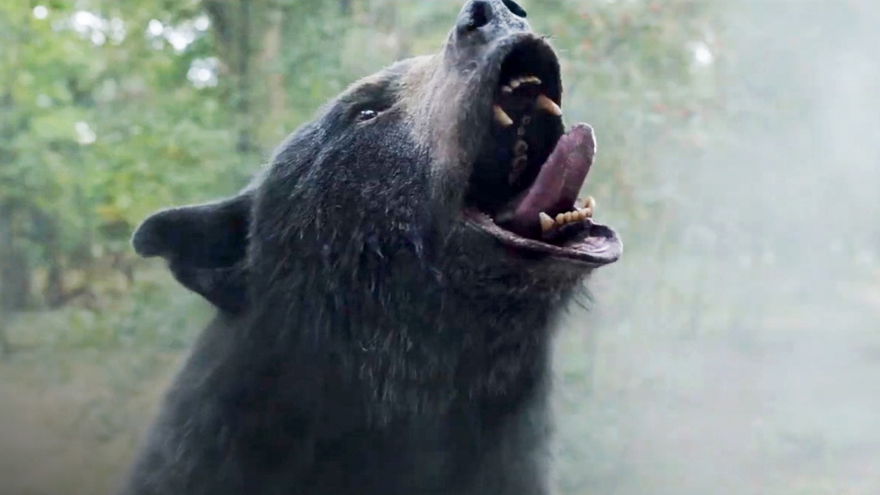 Het bizarre 'Cocaine Bear' zie je binnenkort thuis op de buis