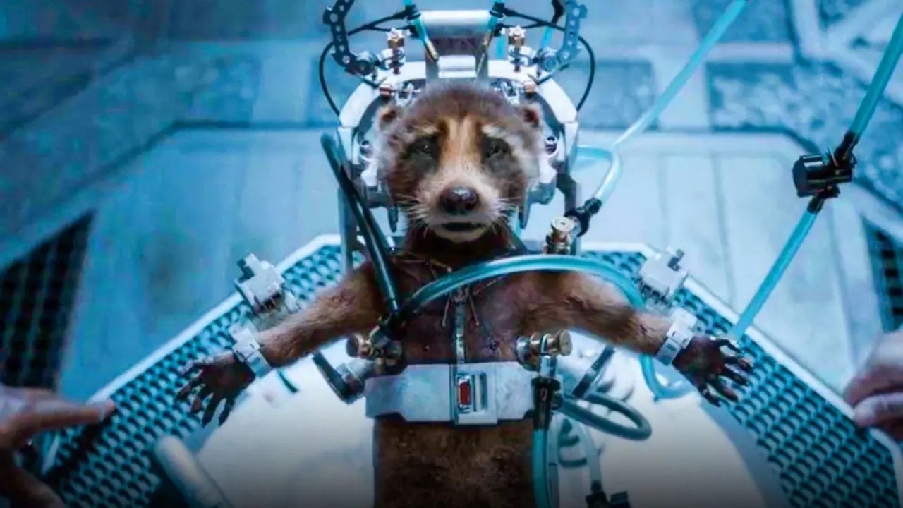 'Guardians of the Galaxy Vol. 3' een meesterwerk als het gaat om de rechten van dieren