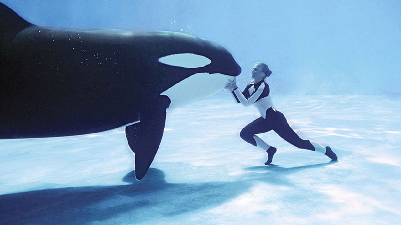 Het agressieve 'Blackfish' duikt de Netflix Top 10 binnen: deze moet je zien
