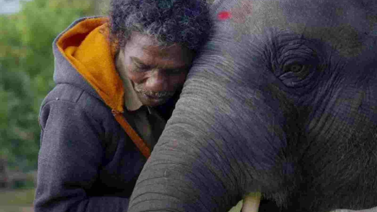 Netflix in heet water: sterren uit 'The Elephant Whisperers' zoeken gerechtigheid
