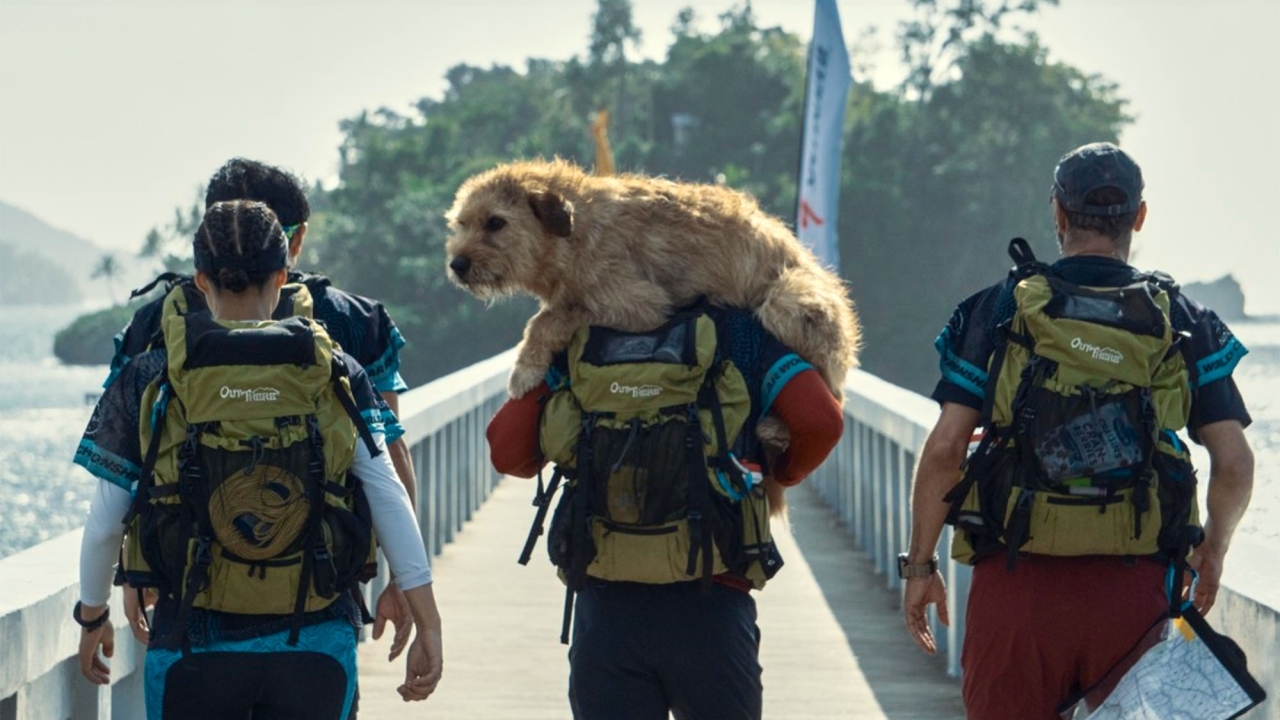 Mark Wahlberg in opmerkelijke rol in trailer 'Arthur the King'