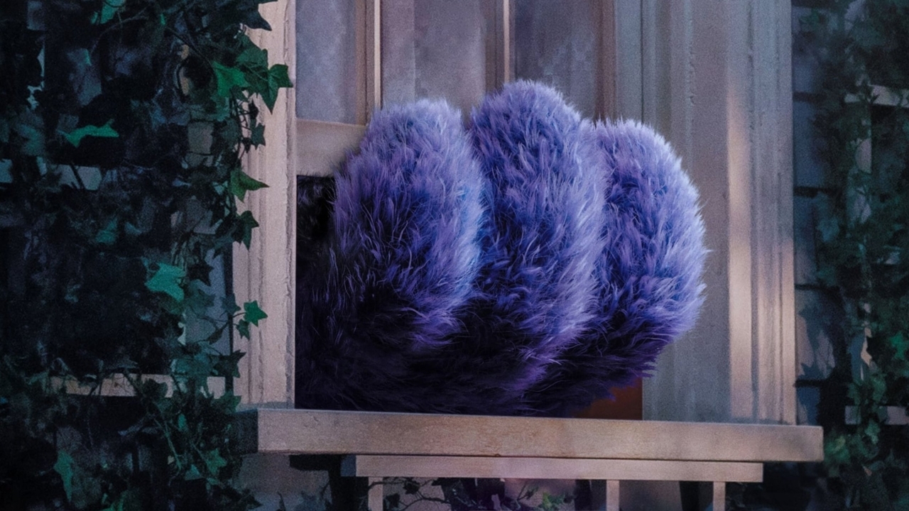 Ontdek de magie die zich achter de deuren van 'IF' afspeelt