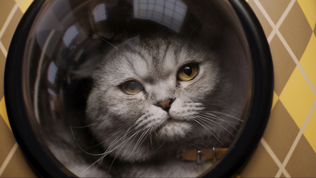 Deze aanstaande actiefilm moet het begin zijn van een nieuwe trilogie