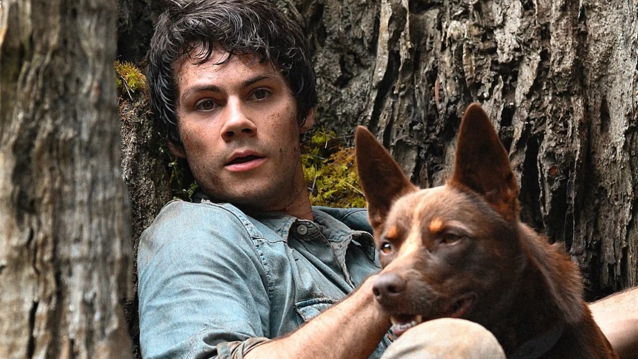 3 kneitergoede films die nu gewoon op Netflix staan