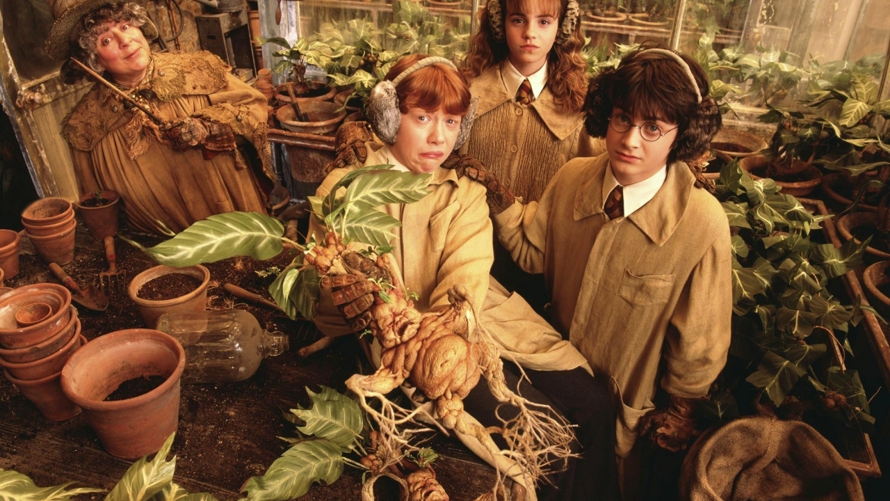 Harry Potter-actrice over de extreme fans: "Tijd om op te groeien"