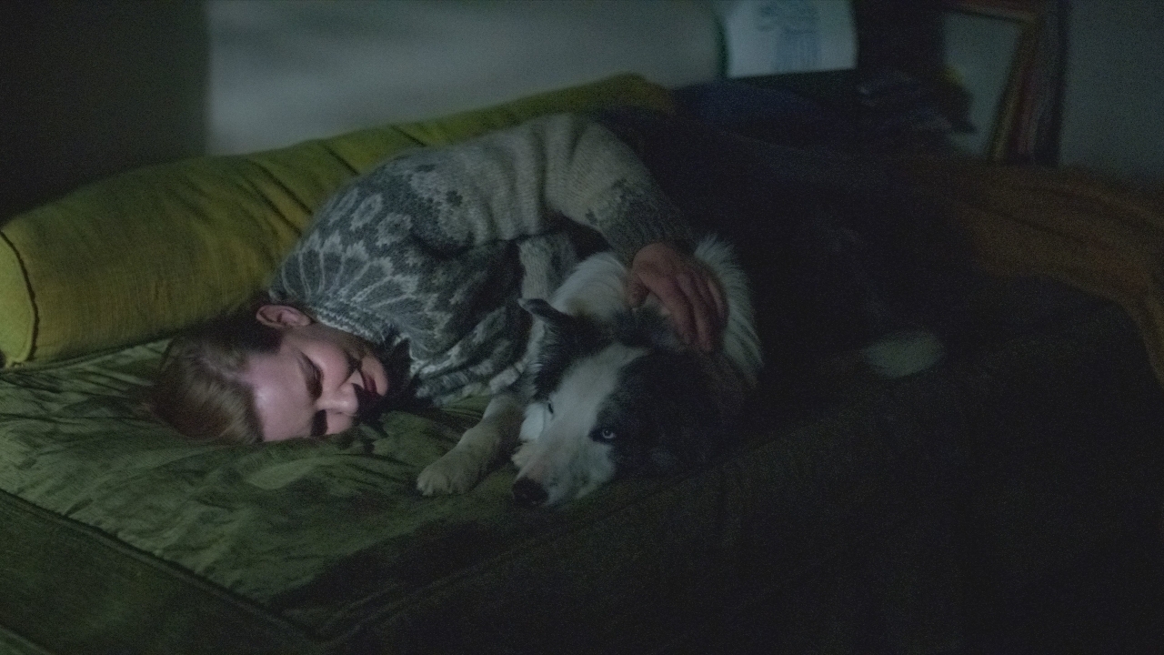 Alles over Messi, de hond uit 'Anatomy of a Fall', die eigenlijk ook een Oscar verdiende