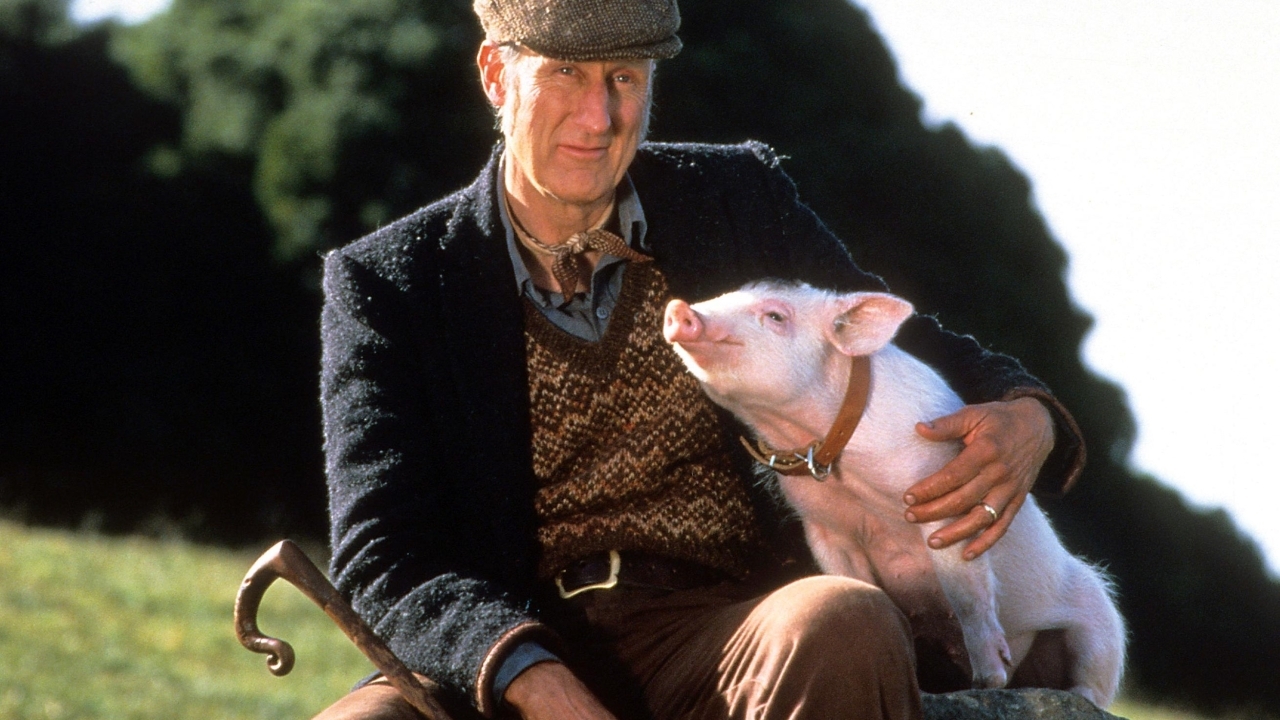 Acteurs die niet meer hetzelfde waren na een grote rol: James Cromwell in 'Babe'