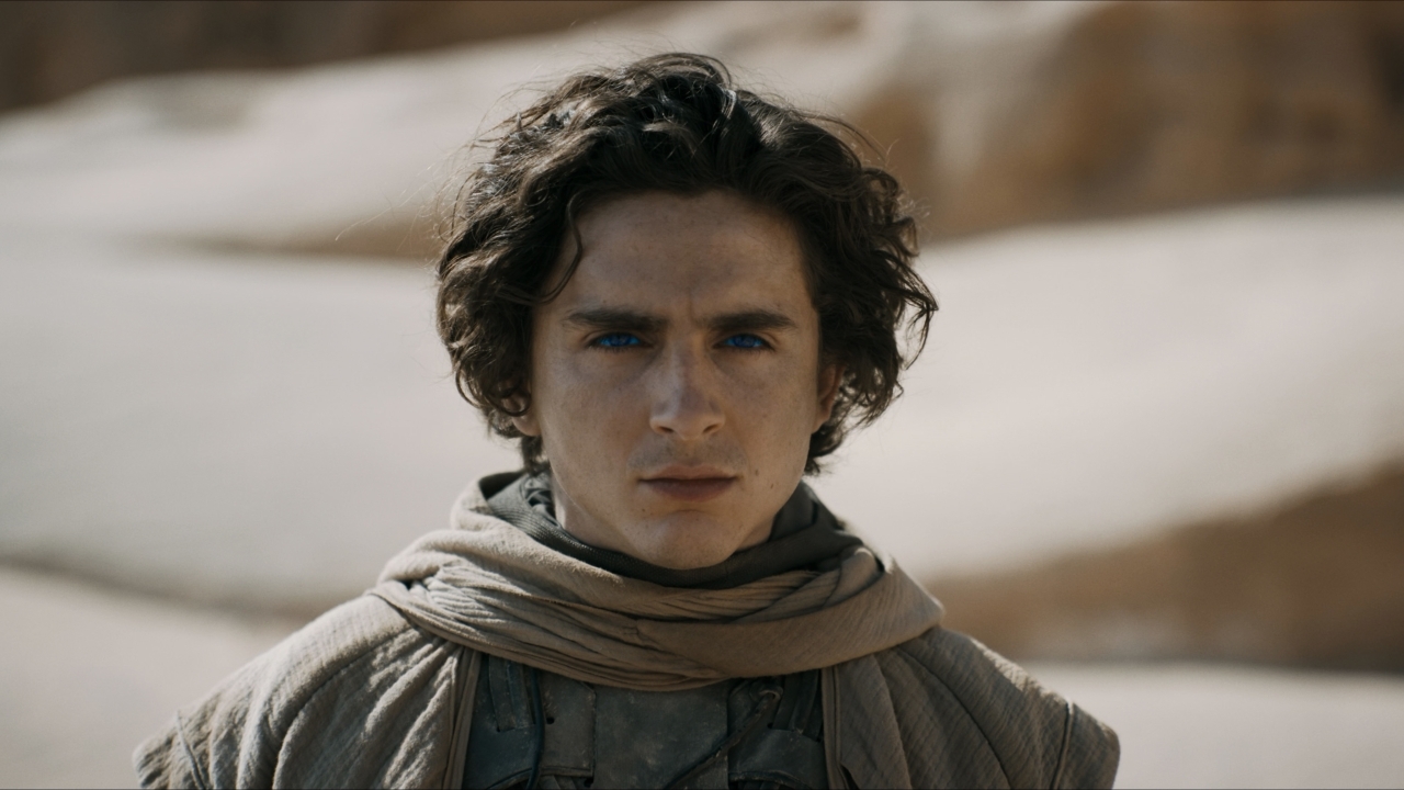 Dit wordt de volgende film van toptalent Timothée Chalamet