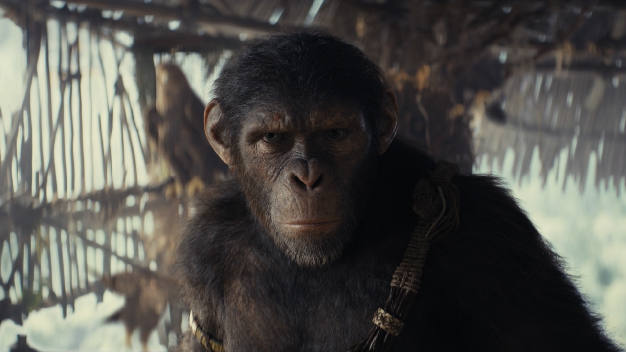 'Kingdom of the Planet of the Apes' krijgt geheel nieuwe uitgebreide IMAX-trailer