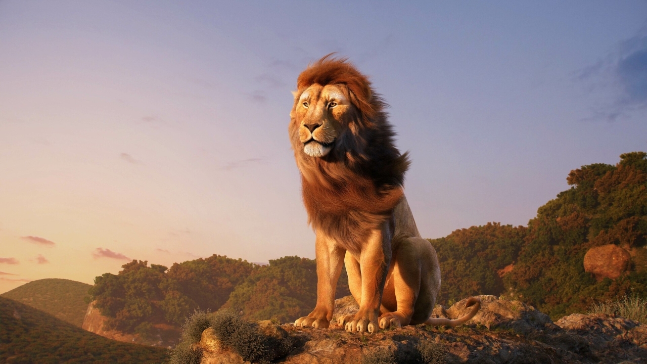 "Eén van de beste beslissingen van mijn leven": Barry Jenkins vertelt over 'Mufasa: The Lion King'