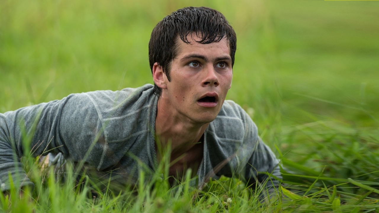 Nieuwe 'Maze Runner'-film in de maak met 'Alien'-schrijver
