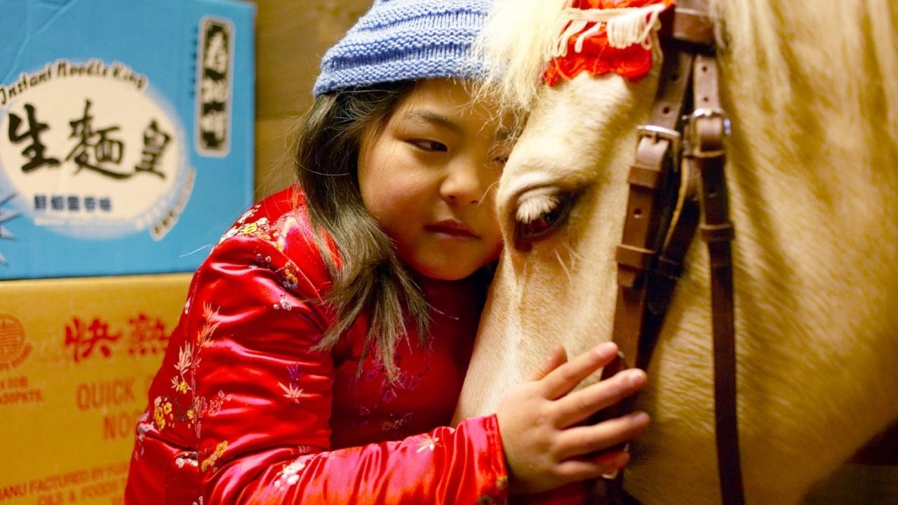 Het paard van Sinterklaas