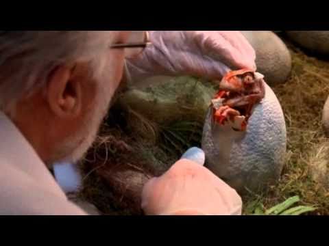 Jurassic Park Movie Clip: Nature Will Find Its Way