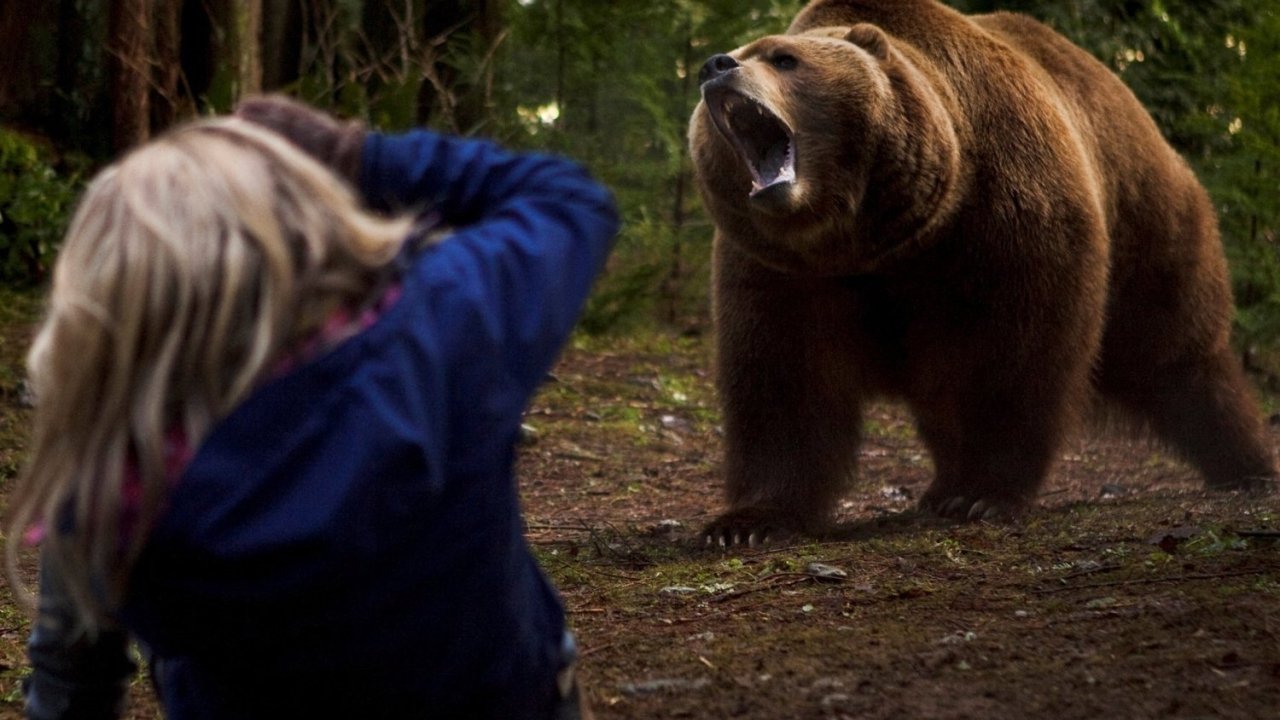 Into the Grizzly Maze