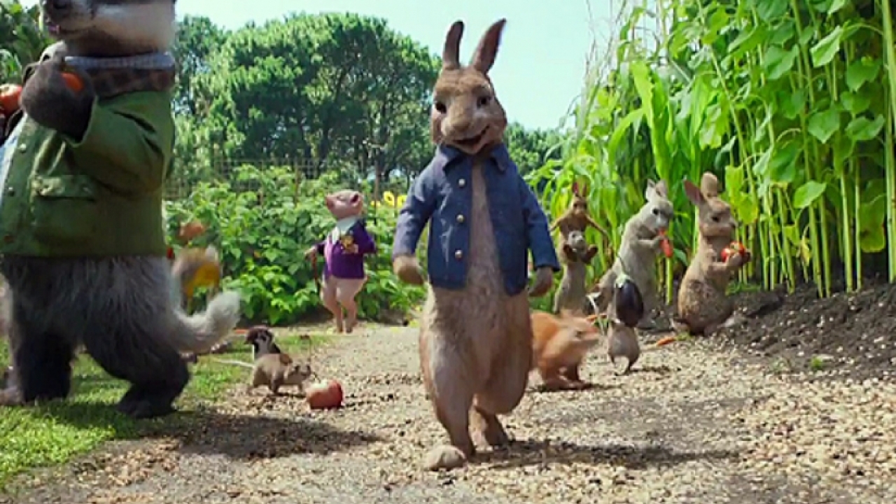 Peter Rabbit