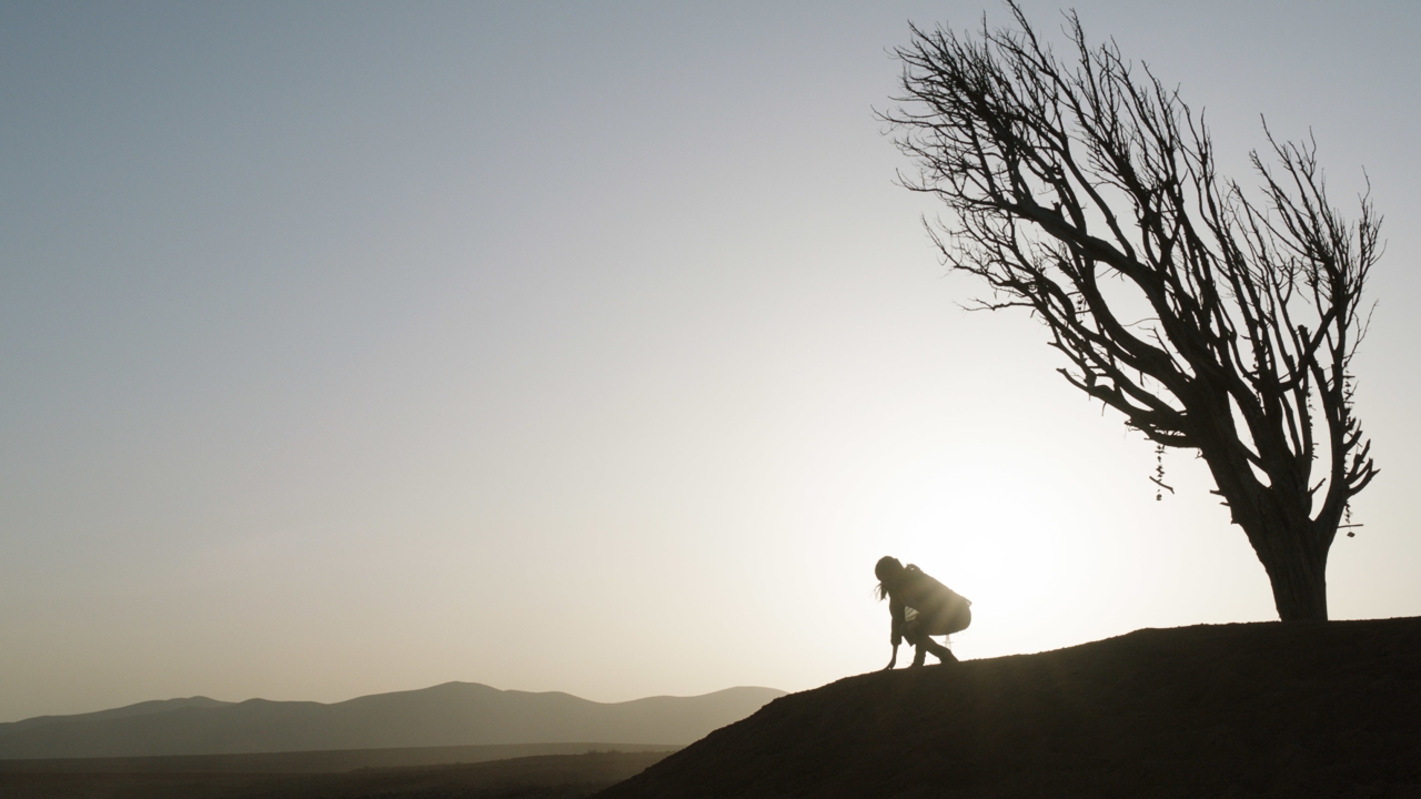 Deze regisseur nam een pauze na haar kritische Marvel-flop: "Het was heel intens"