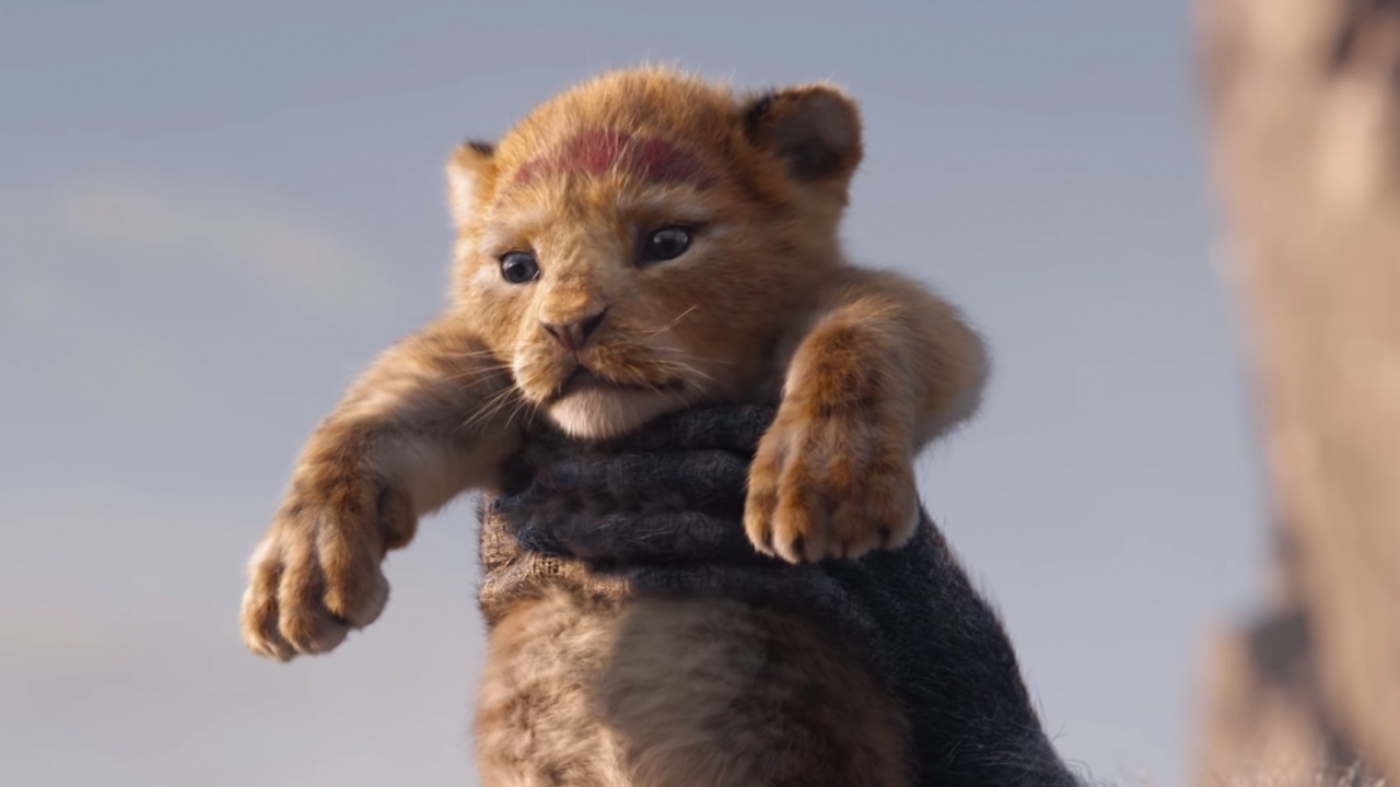 Teaser trailer Walt Disney's 'The Lion King'!