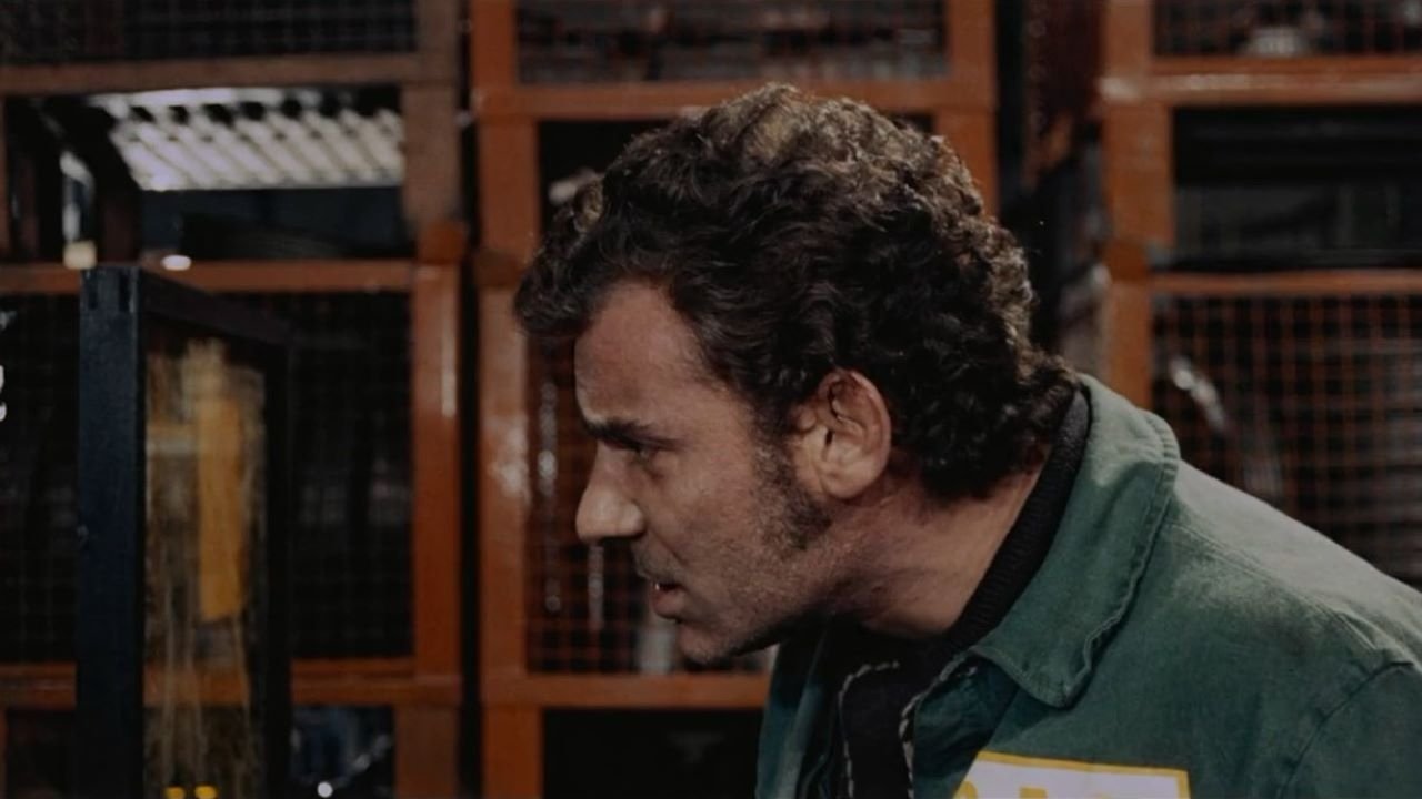 La Classe Operaia Va in Paradiso