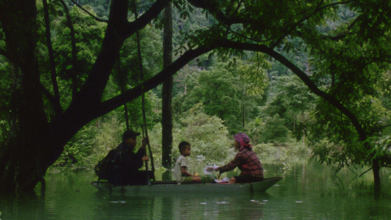 Hair, Paper, Water...