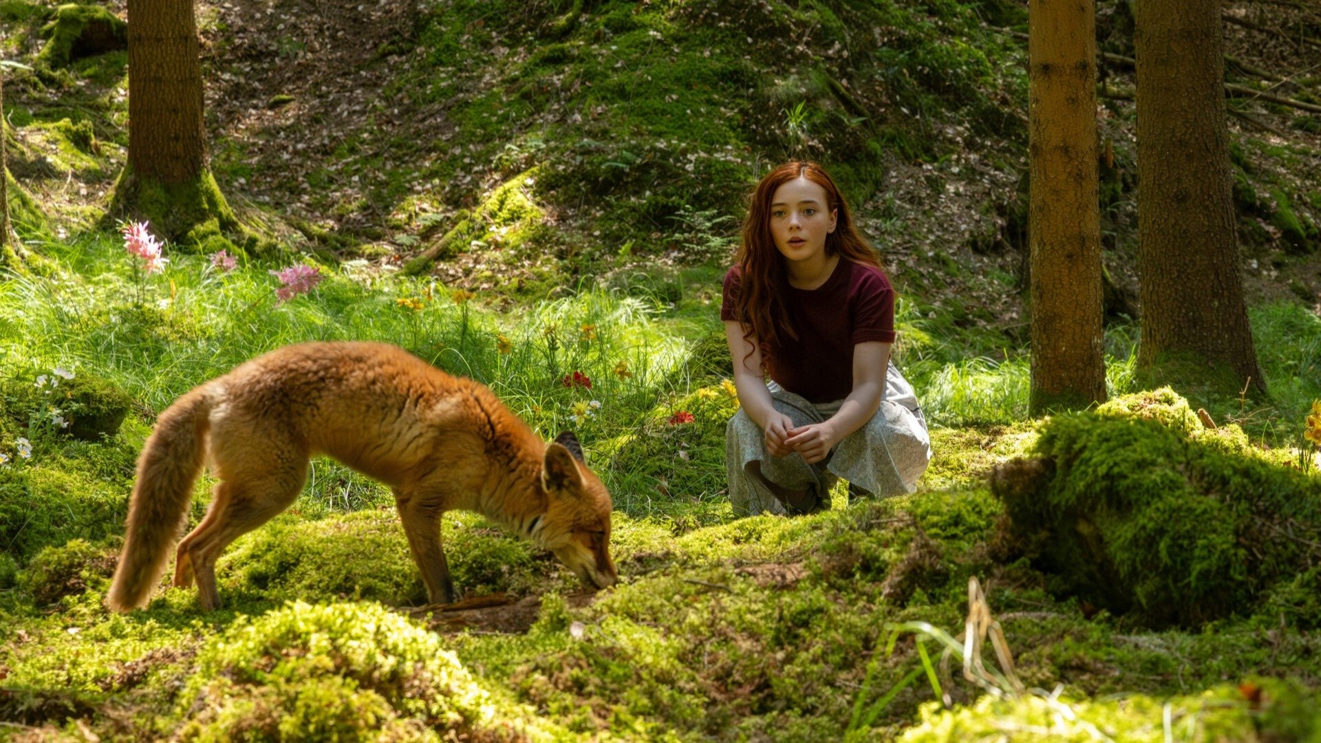 Ein Mädchen Namens Willow