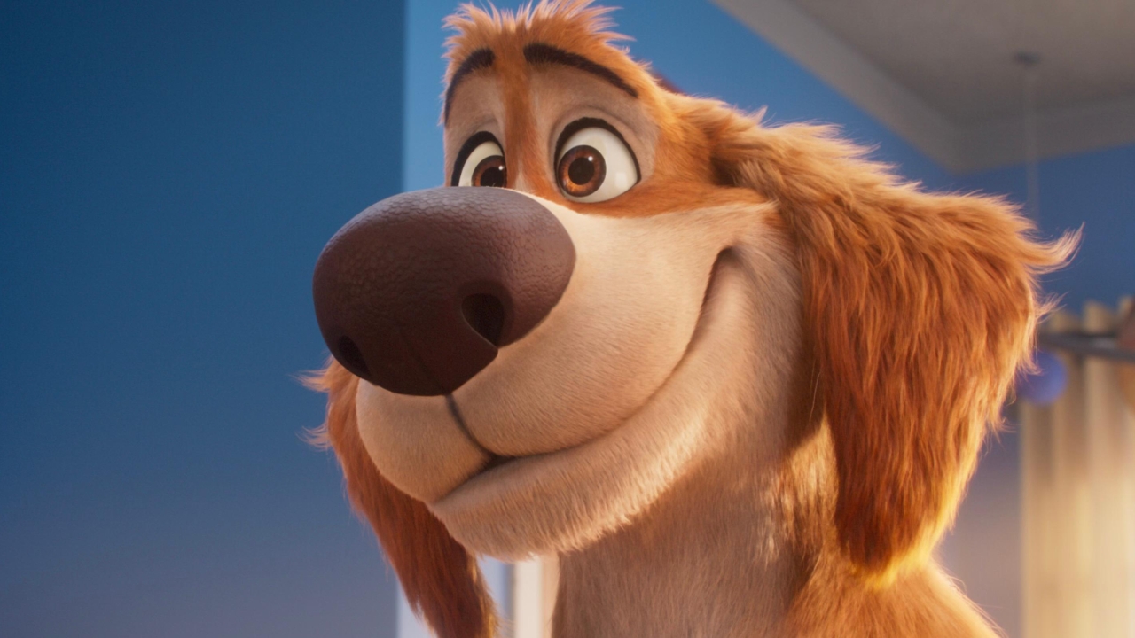 Charlie the Wonderdog