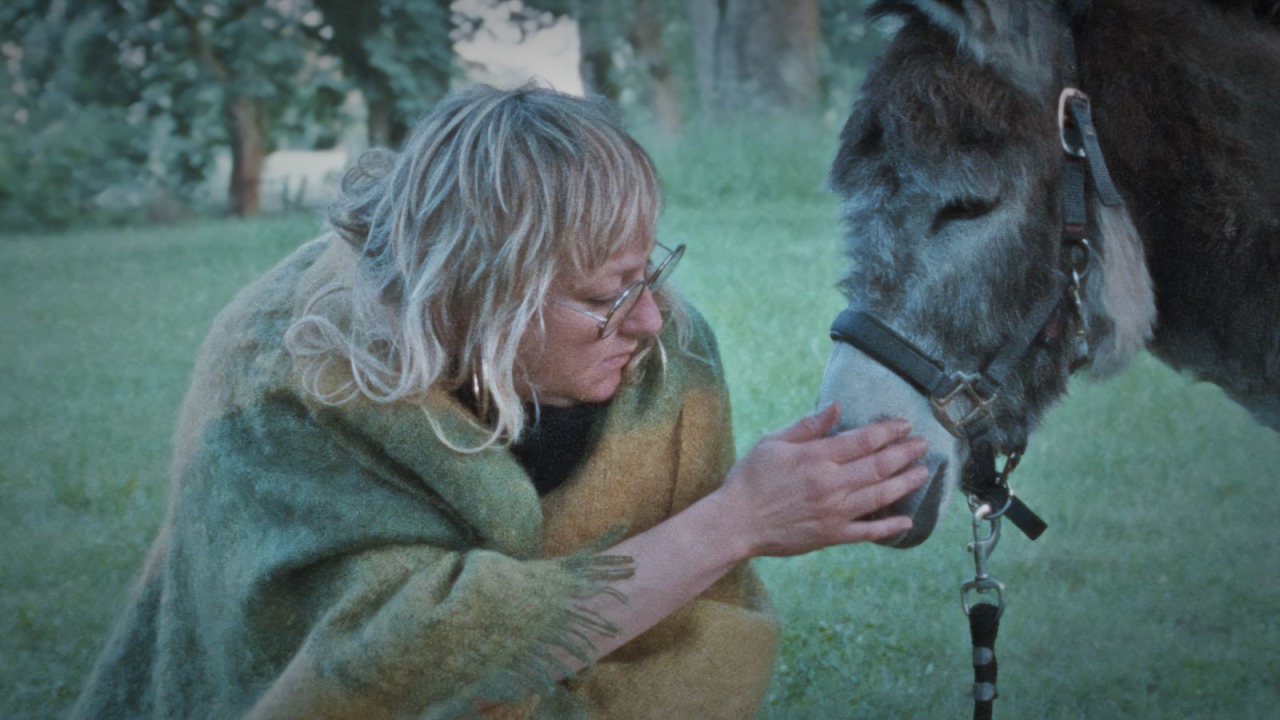 Donkey Days