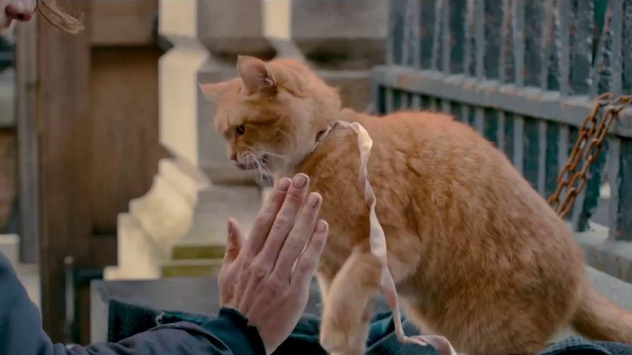 Dierenliefde in trailer 'A Street Cat Named Bob'