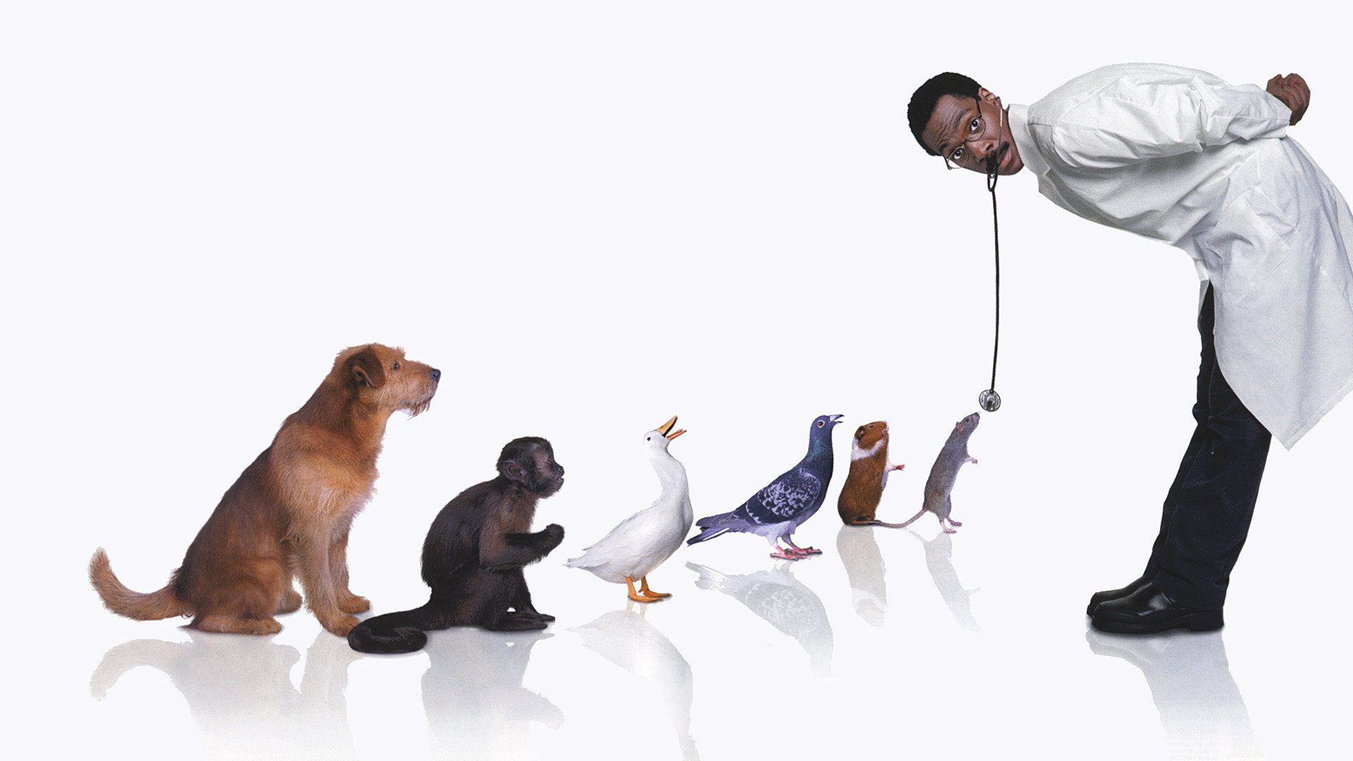 Doctor Dolittle