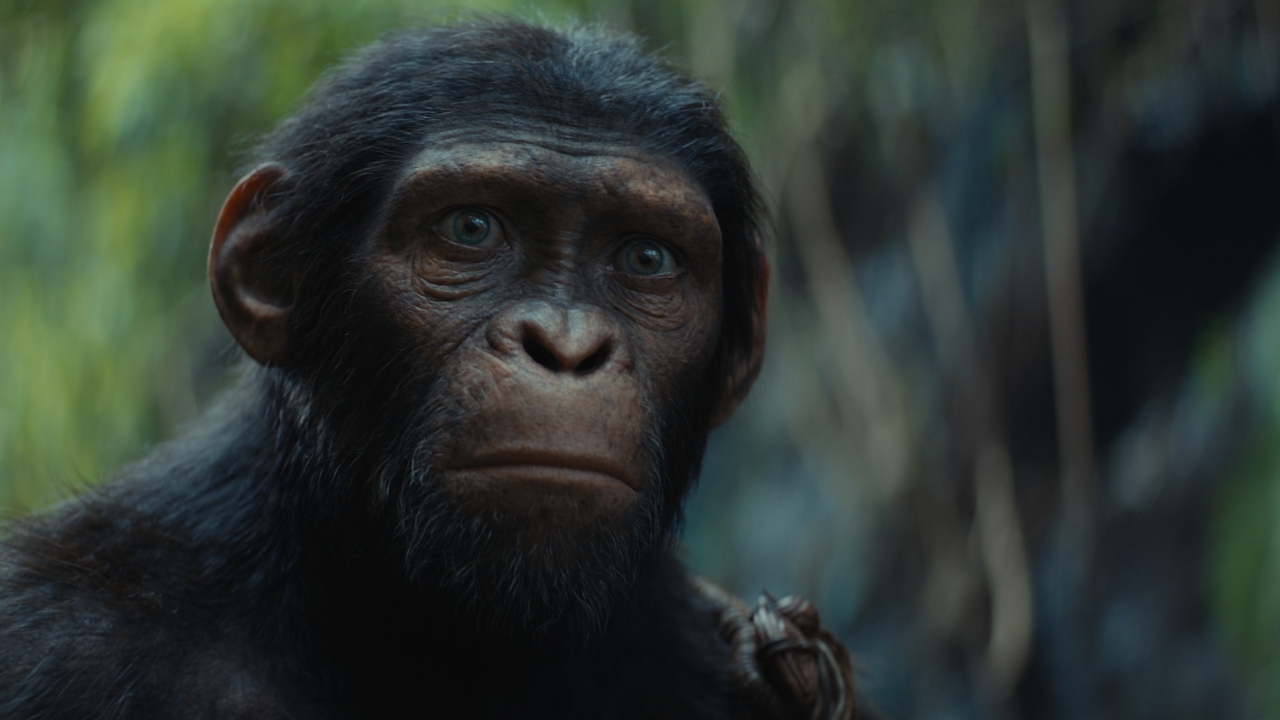 Eerste reacties op 'Kingdom of the Planet of the Apes': een waardige opvolger of toch beduidend minder?