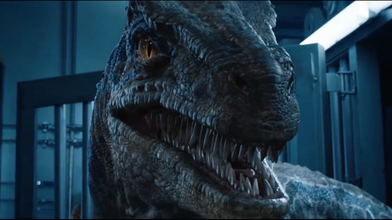 Raptor Blue heeft hoofdrol in 'Jurassic World: Fallen Kingdom' TV-trailer
