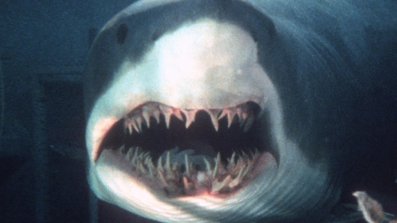 Eerste beelden 'Great White': Eindelijk weer een goeie haaien blockbuster?