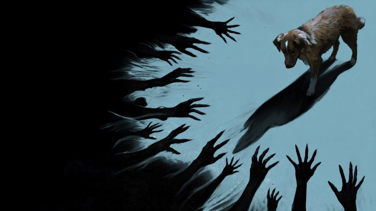 Dit heb je nog nooit gezien: onverschrokken horrorheld in trailer van 'Good Boy'