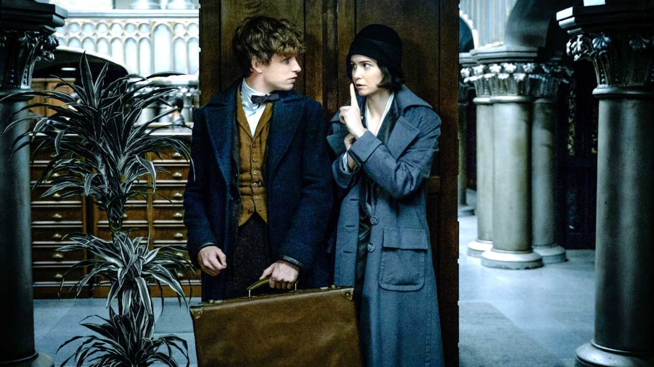 'Fantastic Beasts'-actrice is nog verbonden aan twee vervolgfilms