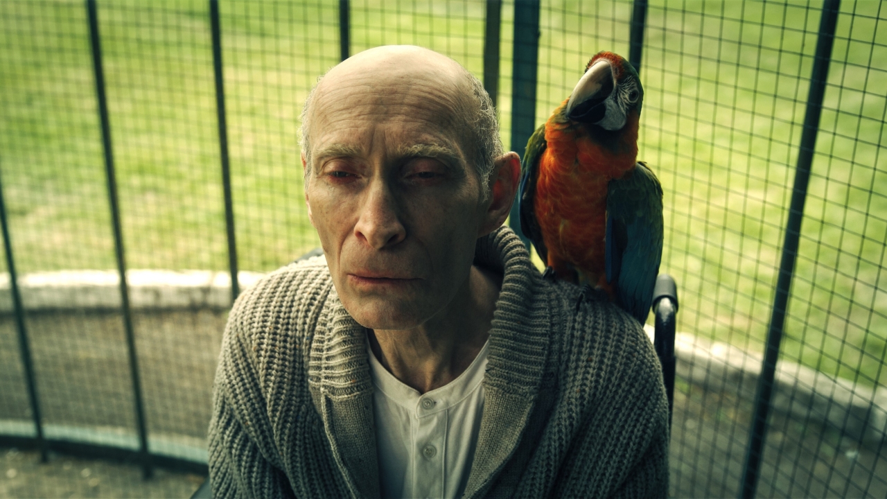 Best bekeken Netflix-serie gaat weer verder, Prime Video cancelt serie na één seizoen en de populairste series van dit moment