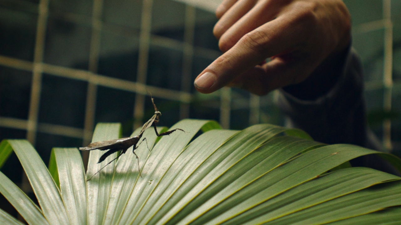 Tropische liefde en Mexicaanse mystiek in gloednieuwe bioscoopfilm 'Tótem'