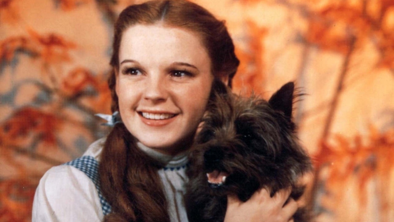 Dorothy's hondje uit 'The Wizard of Oz' krijgt z'n eigen animatiefilm