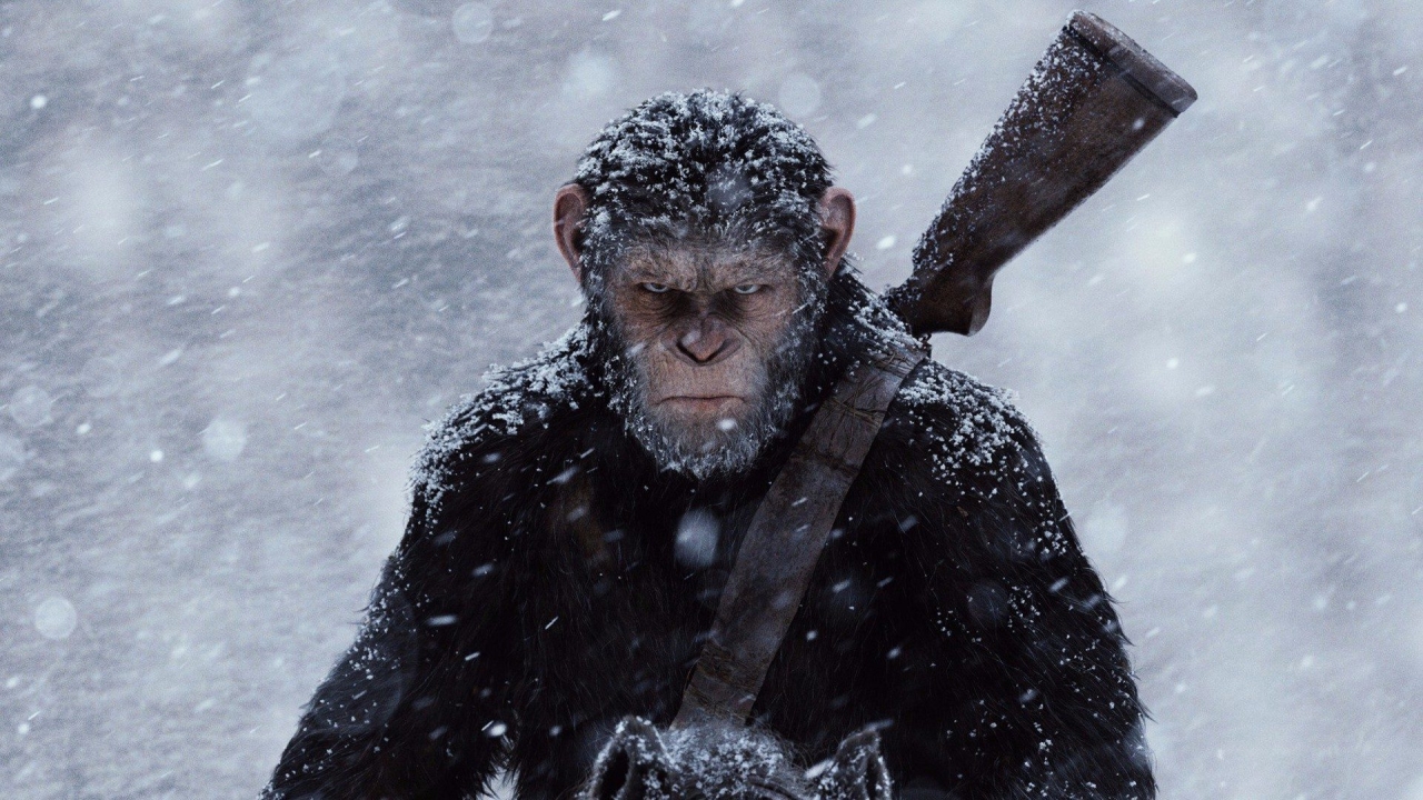 Bizar: 'Planet of the Apes' maar dan in het echt... Apen stelen coronamedicijn