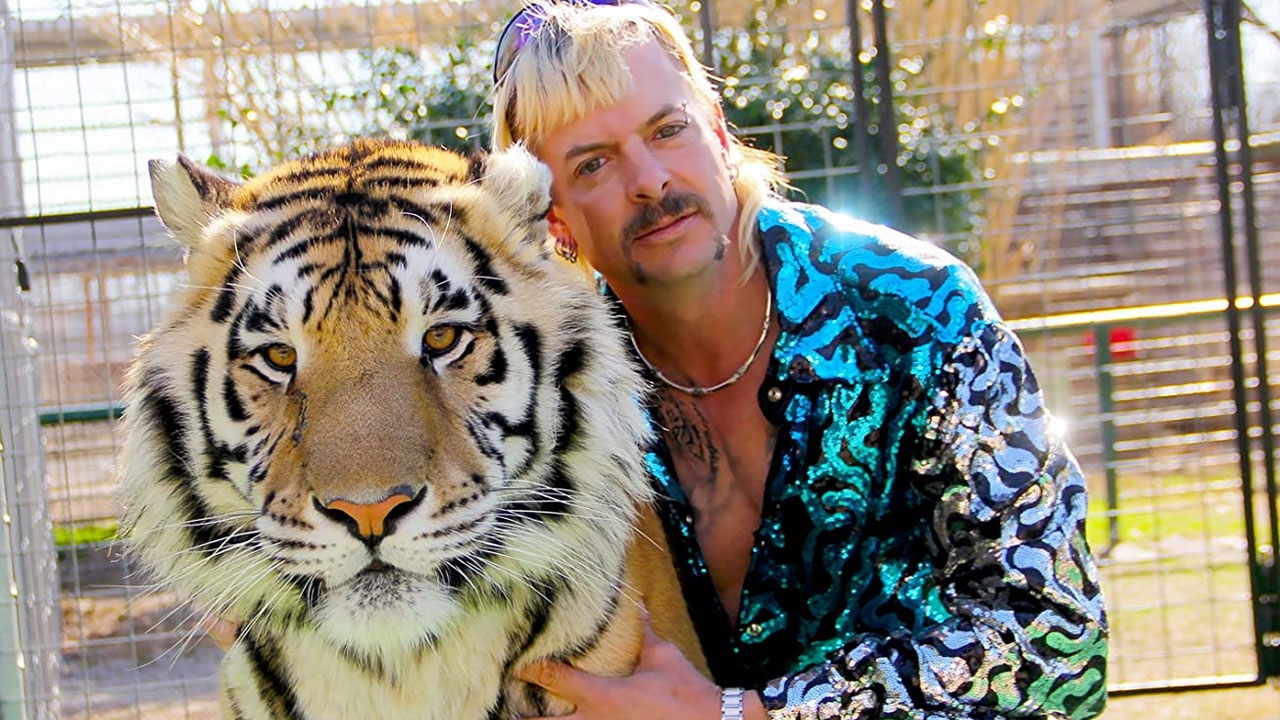 De wereld is in de ban van 'Tiger King': bekijk hier 5 andere koninklijke tijgers
