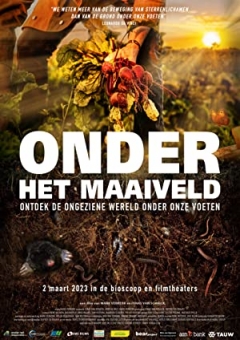 Onder het Maaiveld