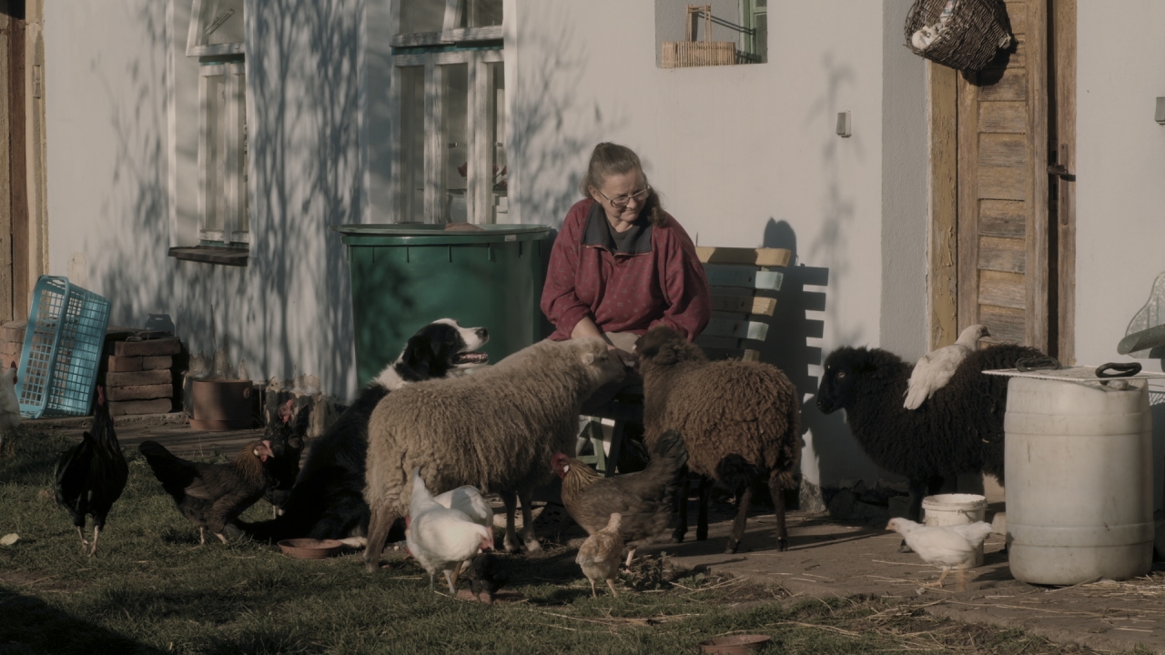 'A Few Mornings, an Evening': aangenaam gescharrel op een kleine boerderij