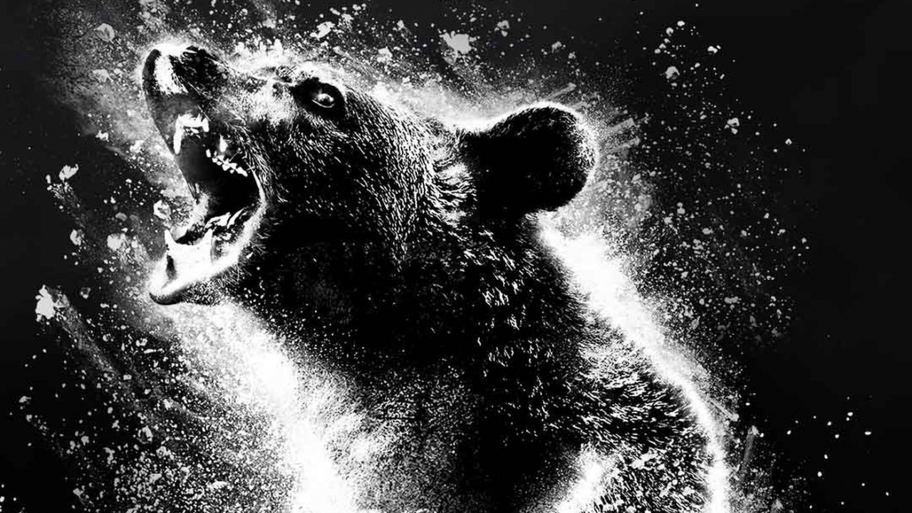 Waargebeurde komedie 'Cocaine Bear' over doorgesnoven beer krijgt opvallende poster