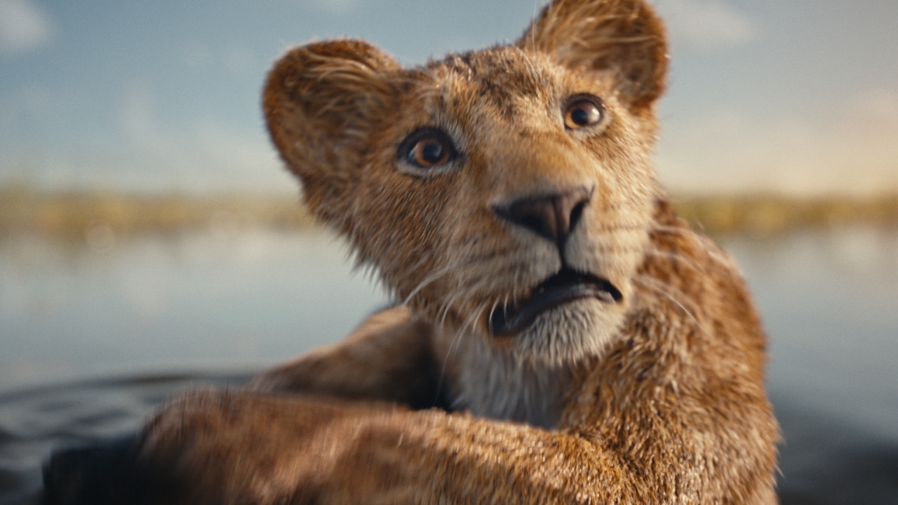 Vanaf deze dag zie je Disney's 'Mufasa: The Lion King' in de bioscoop