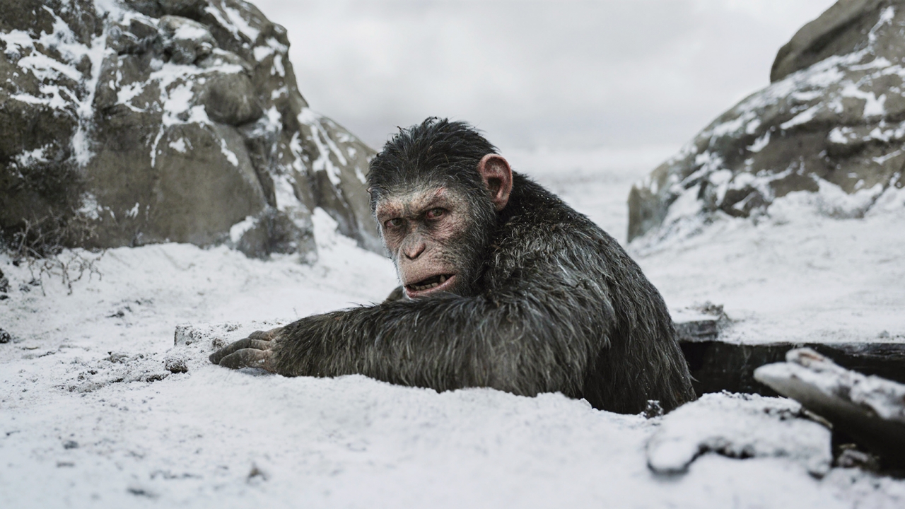 Disney wil meer 'Planet of the Apes'-films