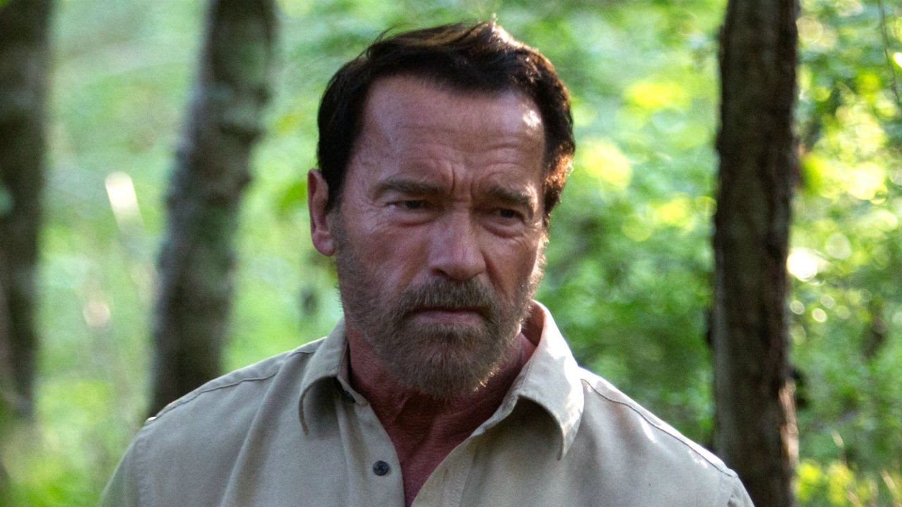Arnold Schwarzenegger rijdt fietser het ziekenhuis in